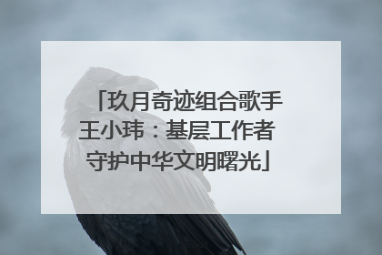 玖月奇迹组合歌手王小玮：基层工作者守护中华文明曙光