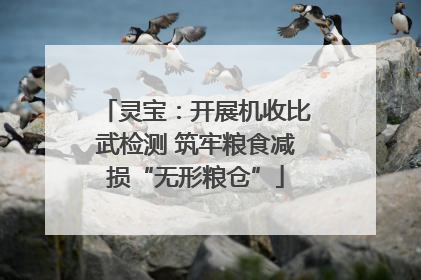 灵宝：开展机收比武检测 筑牢粮食减损“无形粮仓”