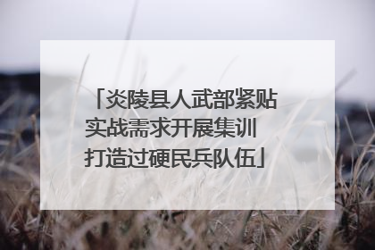 炎陵县人武部紧贴实战需求开展集训 打造过硬民兵队伍