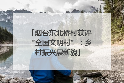 烟台东北桥村获评“全国文明村”：乡村振兴展新貌