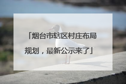 烟台市辖区村庄布局规划，最新公示来了