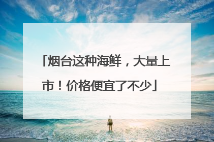 烟台这种海鲜，大量上市！价格便宜了不少