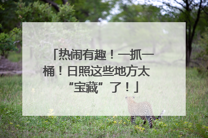 热闹有趣！一抓一桶！日照这些地方太“宝藏”了！