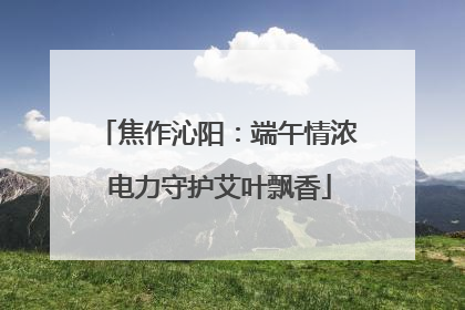 焦作沁阳：端午情浓 电力守护艾叶飘香