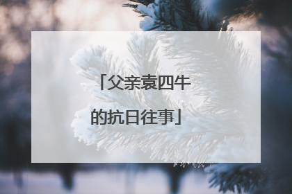 父亲袁四牛的抗日往事