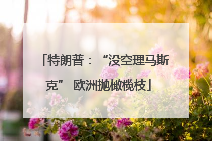 特朗普：“没空理马斯克” 欧洲抛橄榄枝