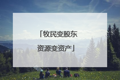 牧民变股东 资源变资产