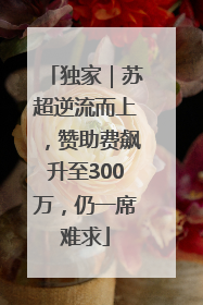独家｜苏超逆流而上，赞助费飙升至300万，仍一席难求