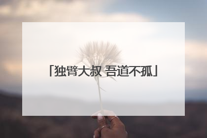 独臂大叔 吾道不孤