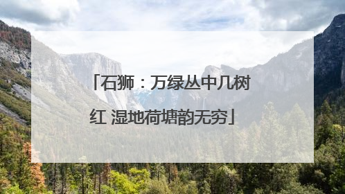 石狮：万绿丛中几树红 湿地荷塘韵无穷