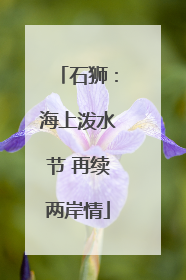 石狮：海上泼水节 再续两岸情