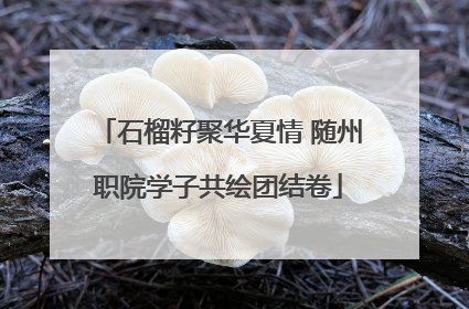 石榴籽聚华夏情 随州职院学子共绘团结卷
