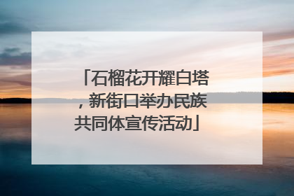 石榴花开耀白塔，新街口举办民族共同体宣传活动