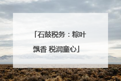 石鼓税务：粽叶飘香 税润童心
