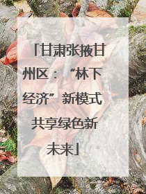 甘肃张掖甘州区：“林下经济”新模式 共享绿色新未来