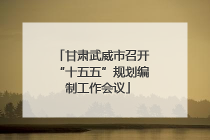 甘肃武威市召开“十五五”规划编制工作会议