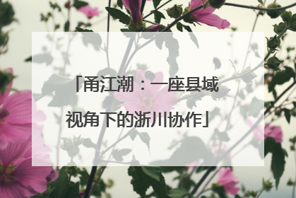 甬江潮：一座县域视角下的浙川协作