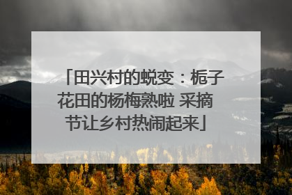 田兴村的蜕变：栀子花田的杨梅熟啦 采摘节让乡村热闹起来
