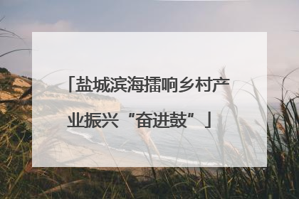 盐城滨海擂响乡村产业振兴“奋进鼓”