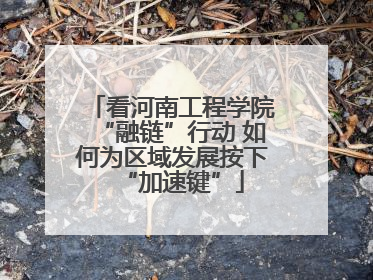 看河南工程学院“融链”行动 如何为区域发展按下“加速键”