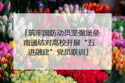筑牢国防动员坚强堡垒 南通结对高校开展“五进融建”党员联训
