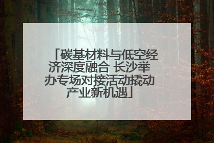 碳基材料与低空经济深度融合 长沙举办专场对接活动撬动产业新机遇