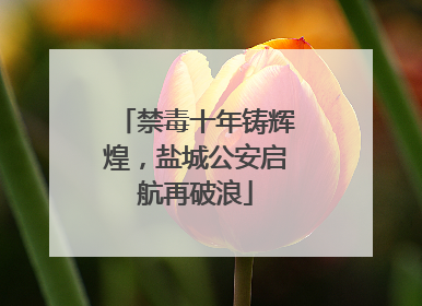 禁毒十年铸辉煌，盐城公安启航再破浪