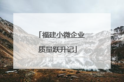 福建小微企业质量跃升记