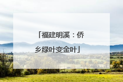 福建明溪：侨乡绿叶变金叶