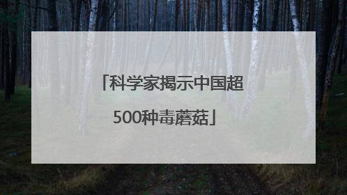 科学家揭示中国超500种毒蘑菇