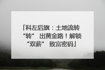 科左后旗：土地流转 “转” 出黄金路！解锁 “双薪” 致富密码