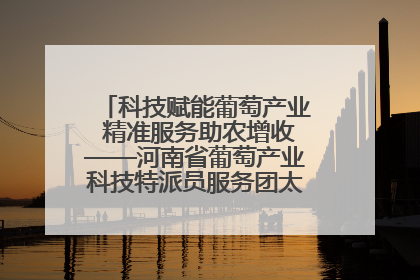 科技赋能葡萄产业 精准服务助农增收——河南省葡萄产业科技特派员服务团太康县科技服务纪实