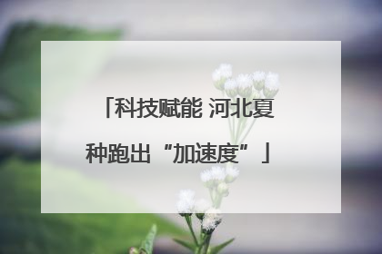 科技赋能 河北夏种跑出“加速度”