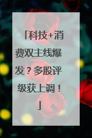 科技+消费双主线爆发？多股评级获上调！