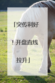 突传利好！开盘直线拉升
