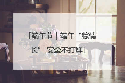端午节｜端午“粽情长” 安全不打烊
