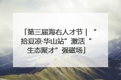 第三届海右人才节｜“拾夏凉·华山站”激活“生态聚才”强磁场