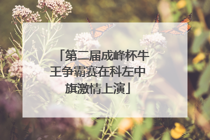 第二届成峰杯牛王争霸赛在科左中旗激情上演