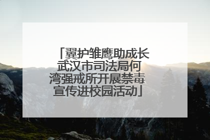 翼护雏鹰助成长 武汉市司法局何湾强戒所开展禁毒宣传进校园活动