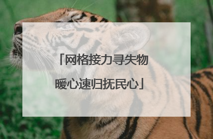 网格接力寻失物 暖心速归抚民心