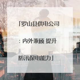 罗山县供电公司：内外兼顾 提升防汛保电能力