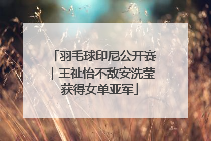 羽毛球印尼公开赛｜王祉怡不敌安洗莹 获得女单亚军