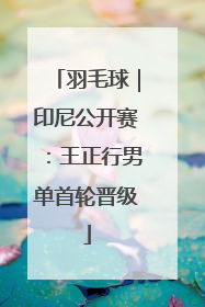羽毛球｜印尼公开赛：王正行男单首轮晋级