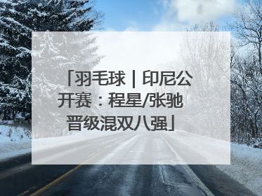 羽毛球｜印尼公开赛：程星/张驰晋级混双八强