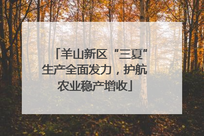 羊山新区“三夏”生产全面发力，护航农业稳产增收