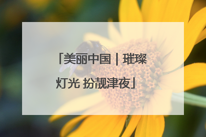 美丽中国｜璀璨灯光 扮靓津夜
