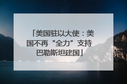 美国驻以大使：美国不再“全力”支持巴勒斯坦建国