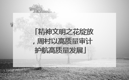 精神文明之花绽放，周村以高质量审计护航高质量发展