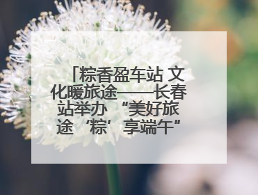 粽香盈车站 文化暖旅途——长春站举办 “美好旅途‘粽’享端午”主题活动
