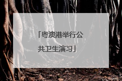 粤澳港举行公共卫生演习
